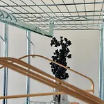 Expo Sniadeckich