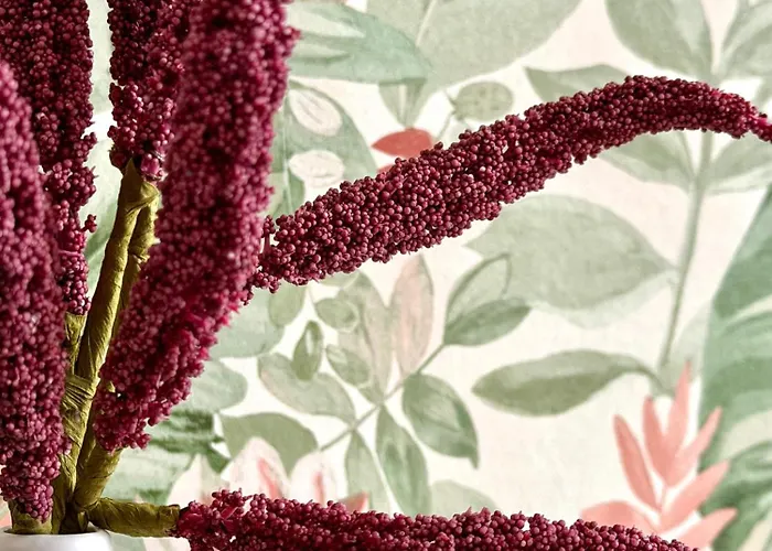 Апарт-отель Expo Sniadeckich